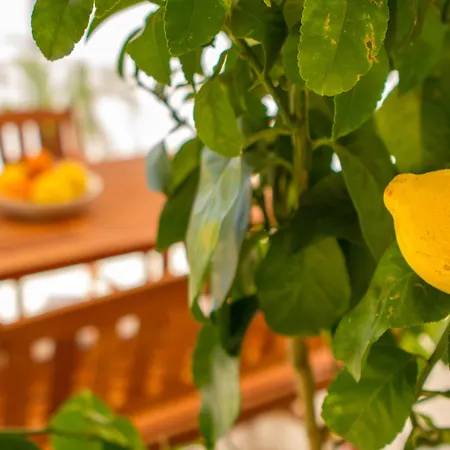 شقة And Bonkan Hvar هفار