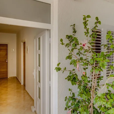 Apartamento And Bonkan Hvar Hvar Town