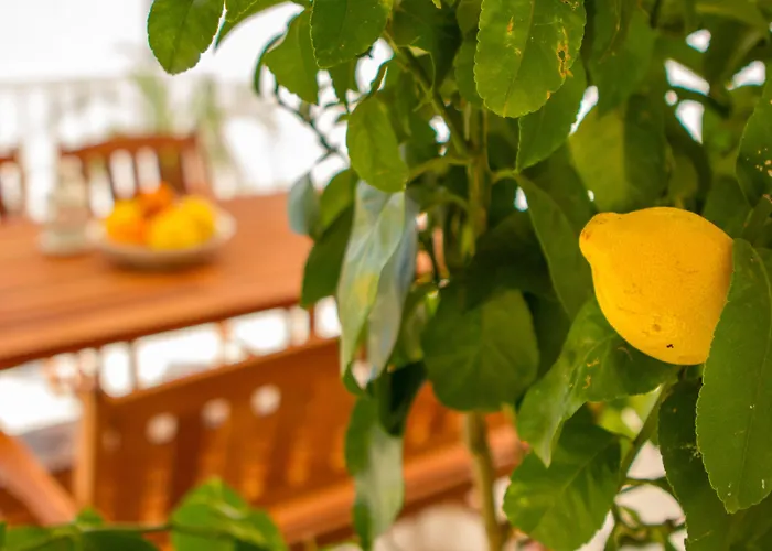 Daire And Bonkan Hvar Hvar Town