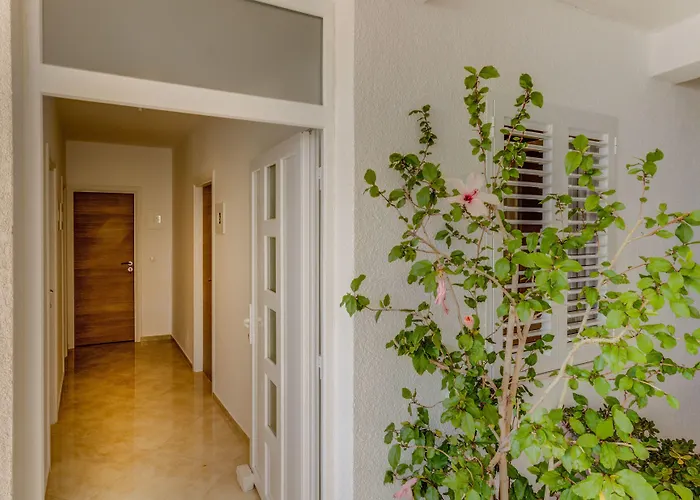 Daire And Bonkan Hvar Hvar Town